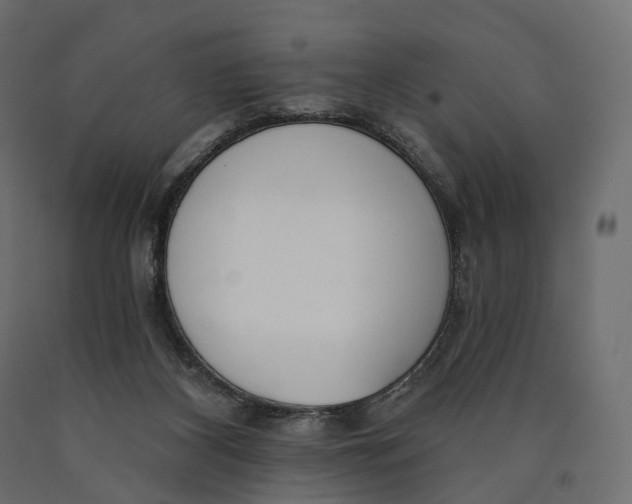 X0000090460116200708031250