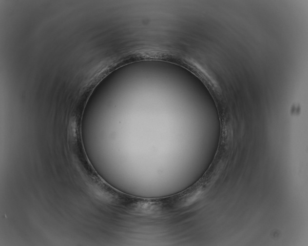 X0000090460117200708031250