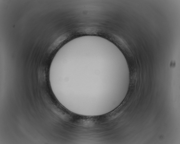 X0000090460120200708031250