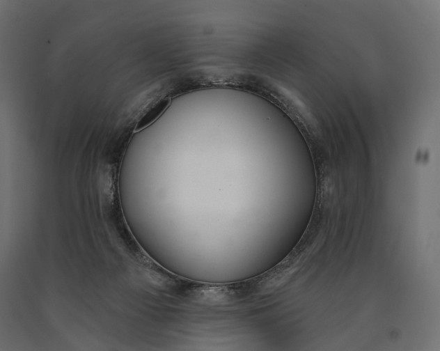 X0000090460121200708031250