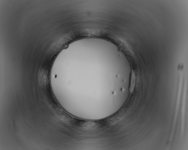 X0000090460123200708031250