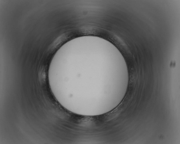 X0000090460124200708031250