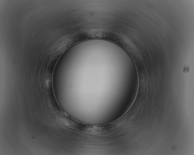 X0000090460125200708031250