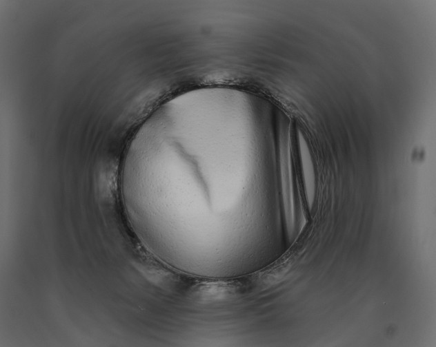X0000090460127200708031250