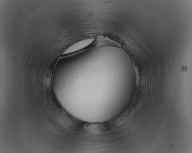 X0000090460129200708031250