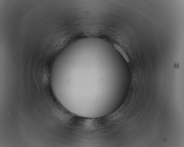 X0000090460130200708031250
