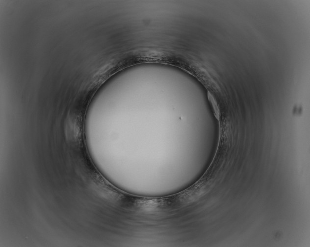 X0000090460131200708031250