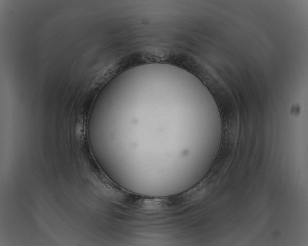 X0000090460134200708031250