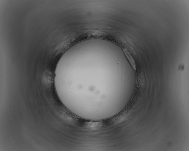 X0000090460135200708031250