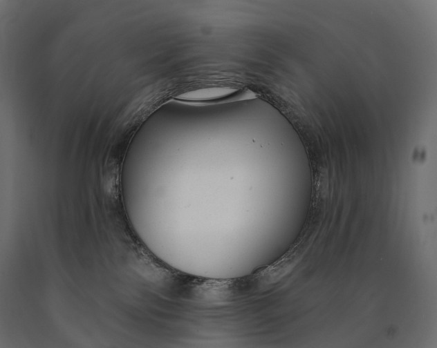 X0000090460138200708031250