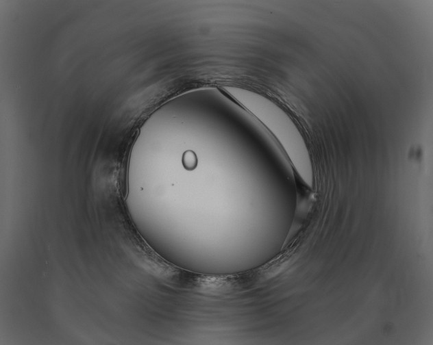 X0000090460141200708031250