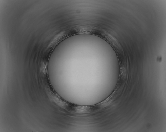 X0000090460142200708031250