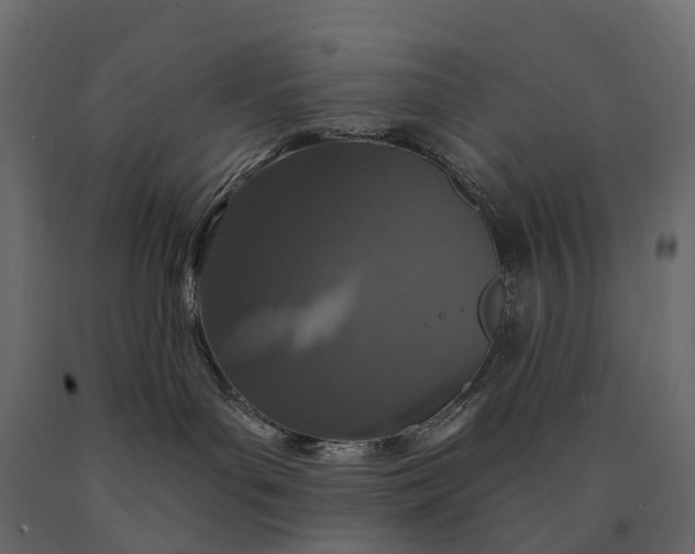 X0000090460143200708031250