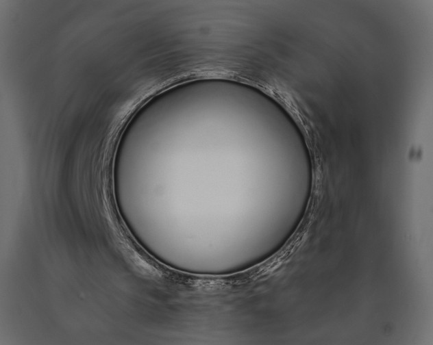 X0000090460145200708031249