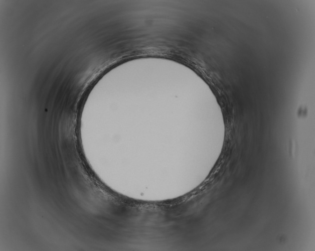 X0000090460146200708031249