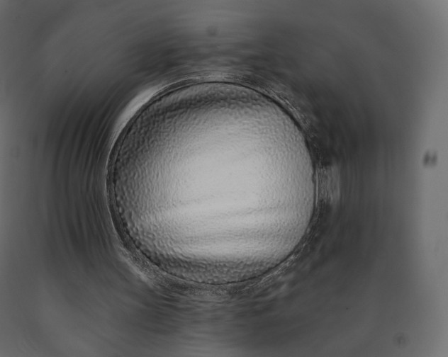 X0000090460147200708031249