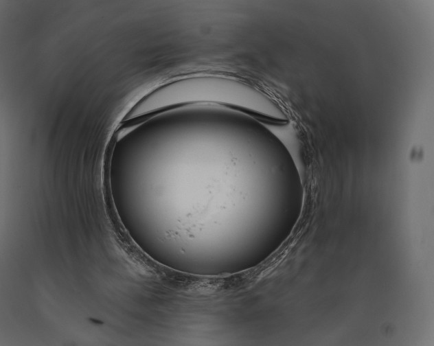 X0000090460148200708031249
