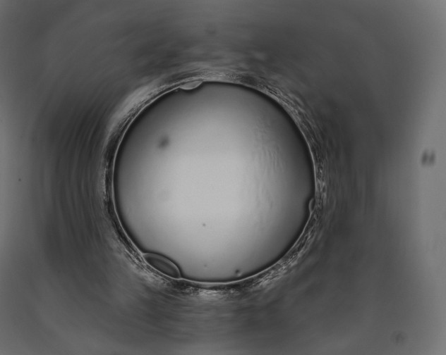 X0000090460149200708031249