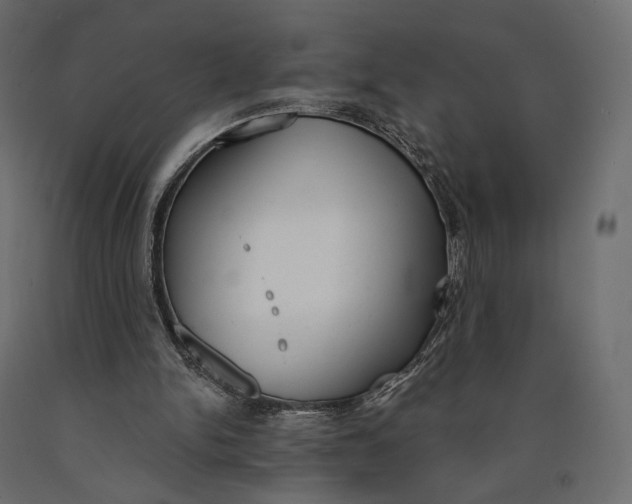 X0000090460150200708031249