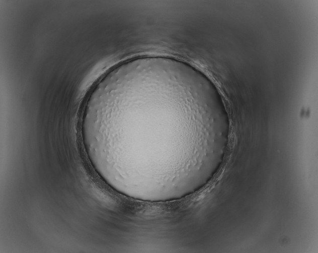 X0000090460151200708031249