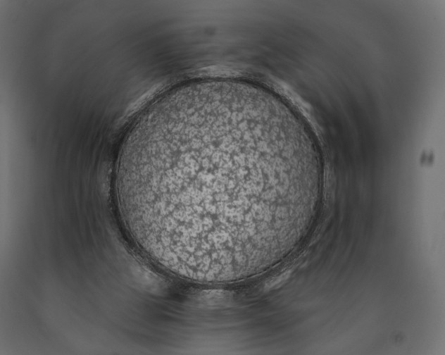 X0000090460153200708031249
