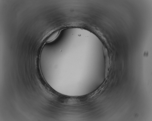 X0000090460154200708031249