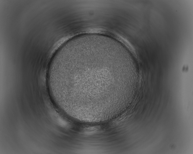 X0000090460155200708031249
