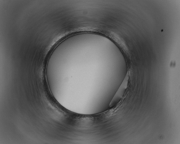 X0000090460156200708031249