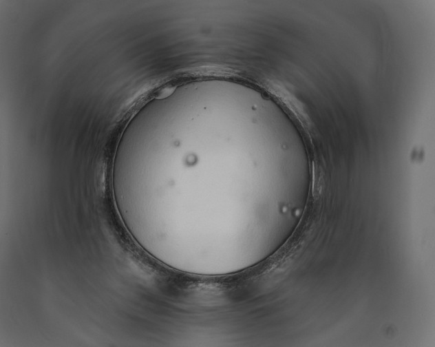 X0000090460157200708031249