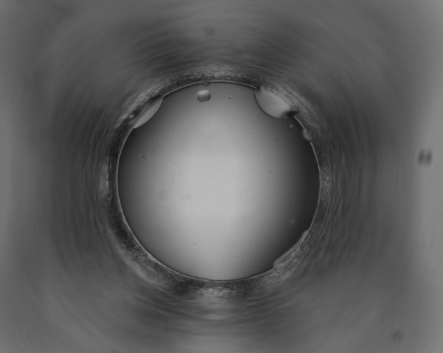 X0000090460158200708031249