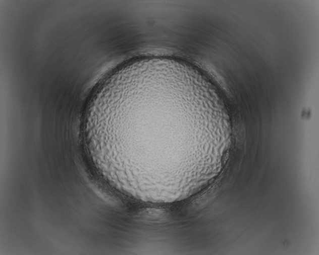 X0000090460159200708031249