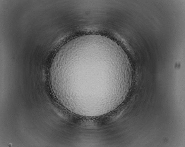 X0000090460161200708031249