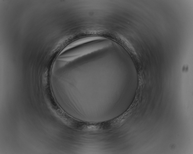 X0000090460163200708031249