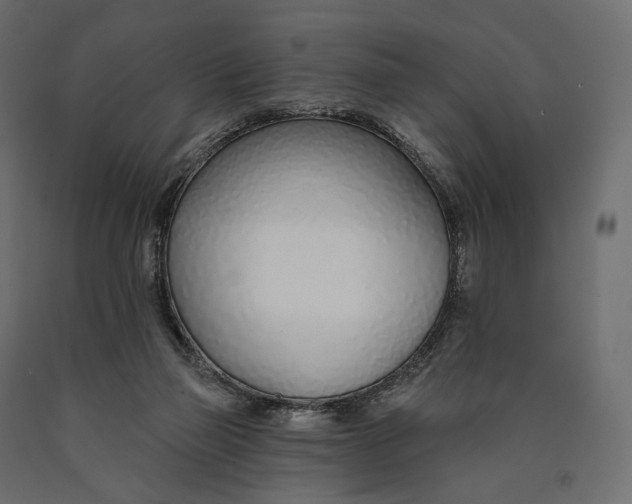 X0000090460165200708031249