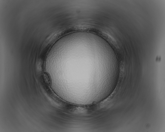 X0000090460166200708031249