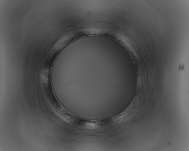 X0000090460167200708031249