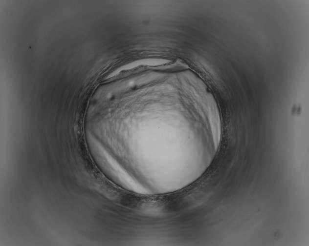 X0000090460169200708031249