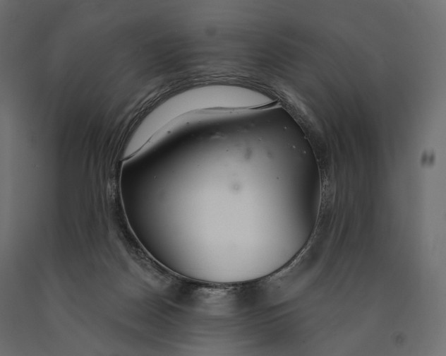 X0000090460170200708031249