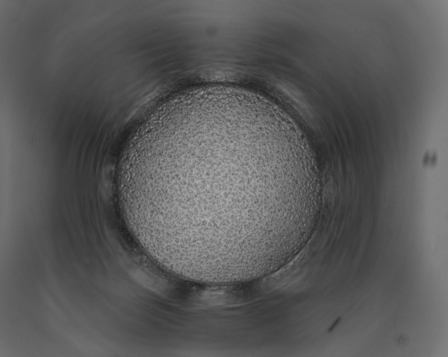 X0000090460171200708031249