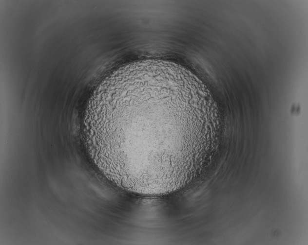 X0000090460173200708031249