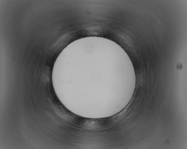 X0000090460174200708031249