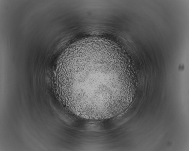 X0000090460175200708031249