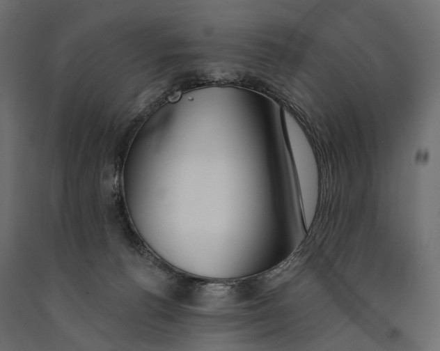 X0000090460176200708031249