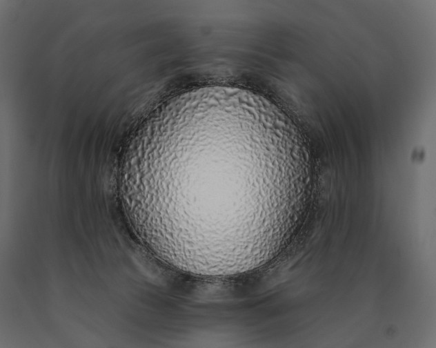 X0000090460177200708031249