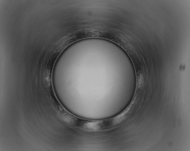 X0000090460178200708031250