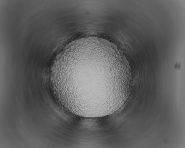 X0000090460179200708031250