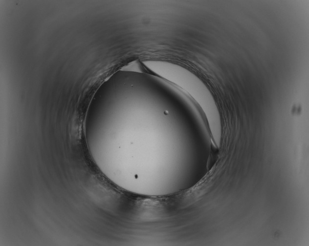 X0000090460180200708031250