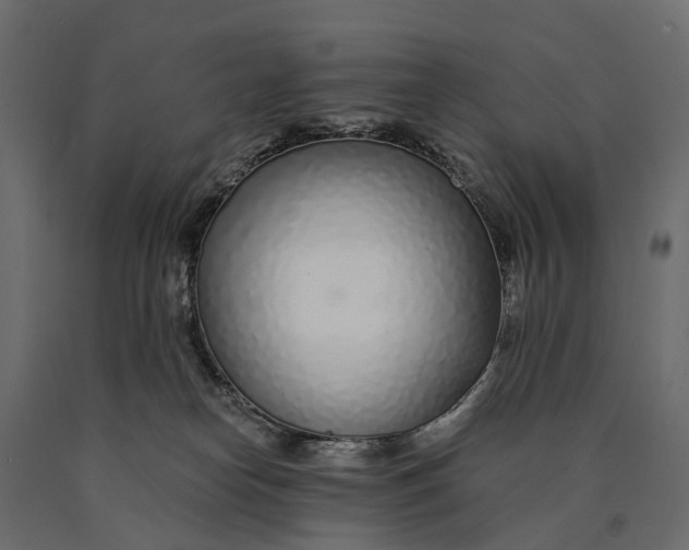 X0000090460182200708031250