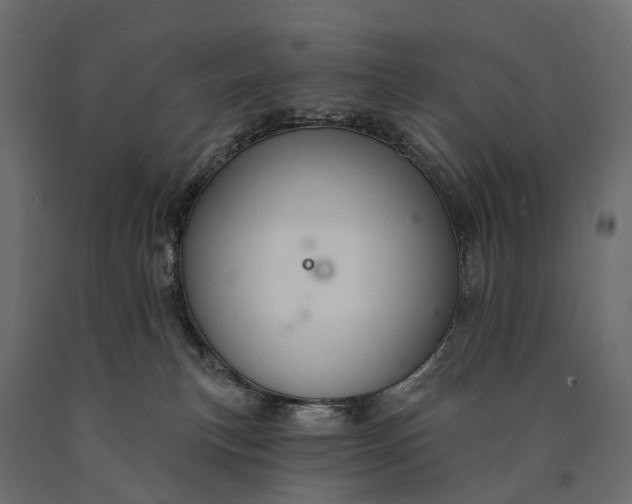 X0000090460183200708031250