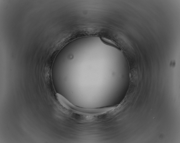 X0000090460184200708031250